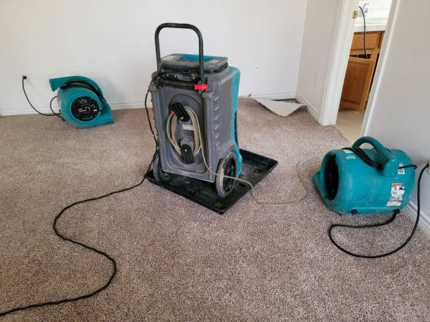Best Emergency water damage restoration  in Greenwood, PA