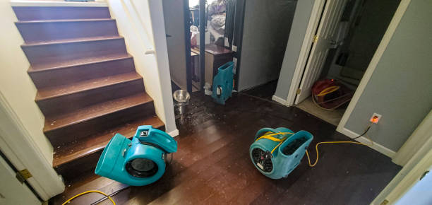Best Carpet water damage restoration  in Greenwood, PA