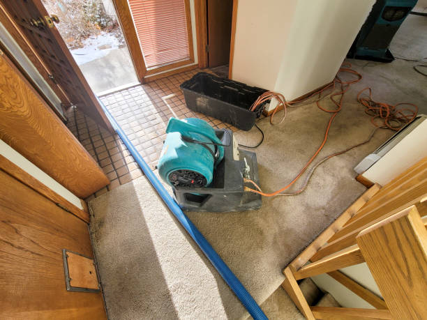 Best Basement water damage restoration  in Greenwood, PA