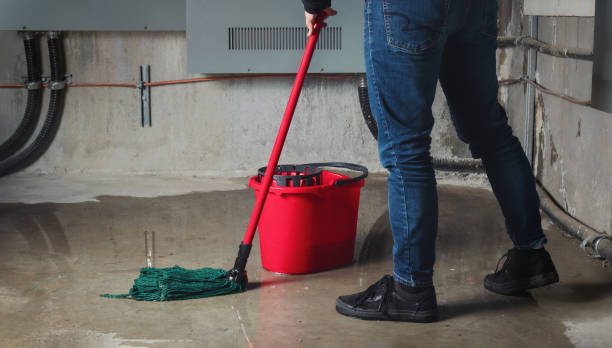 Best Flood restoration services  in Greenwood, PA