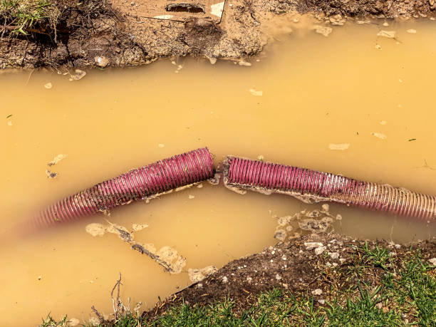Best Professional water damage repair  in Greenwood, PA