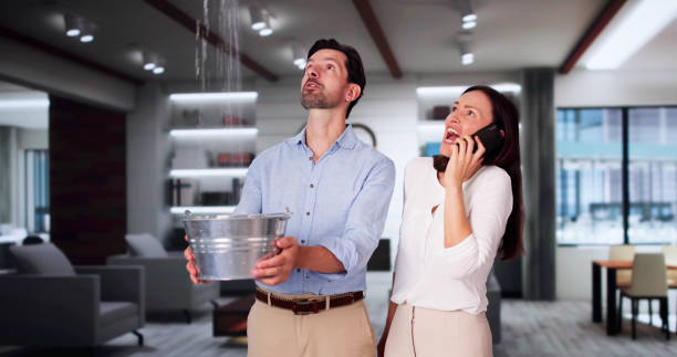 Best Mold removal after water damage  in Greenwood, PA