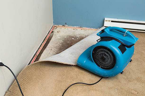Water damage restoration insurance claims in Greenwood, PA